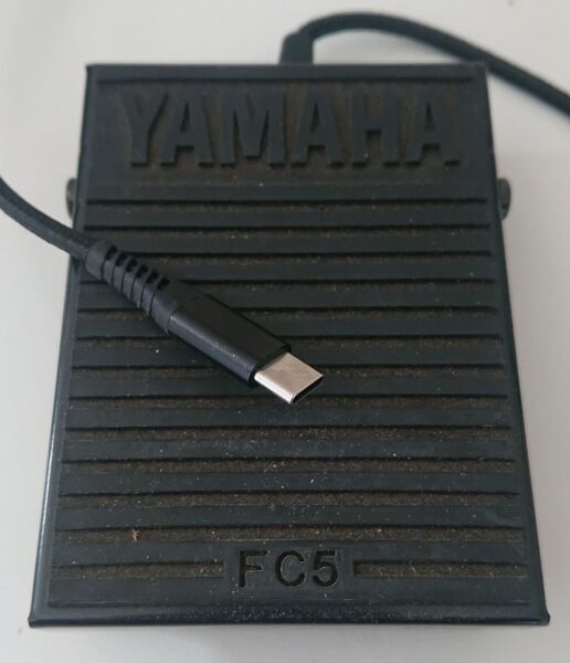 Bestand:Footswitch Picture.jpg