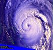 Cyclone StofScheider Picture.jpg